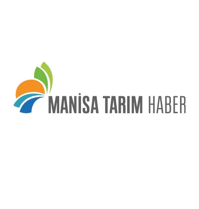 Kış Geldi Sarıgöl’de Üzüm Hasadı Devam Ediyor