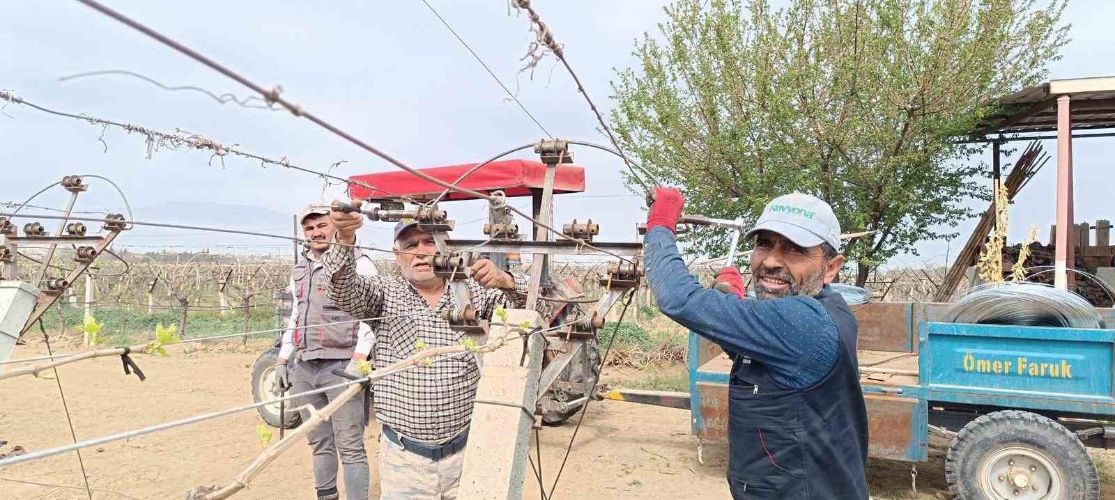 Sarıgöl'de üzüm bağlarına  bayram öncesi yoğun çalışma