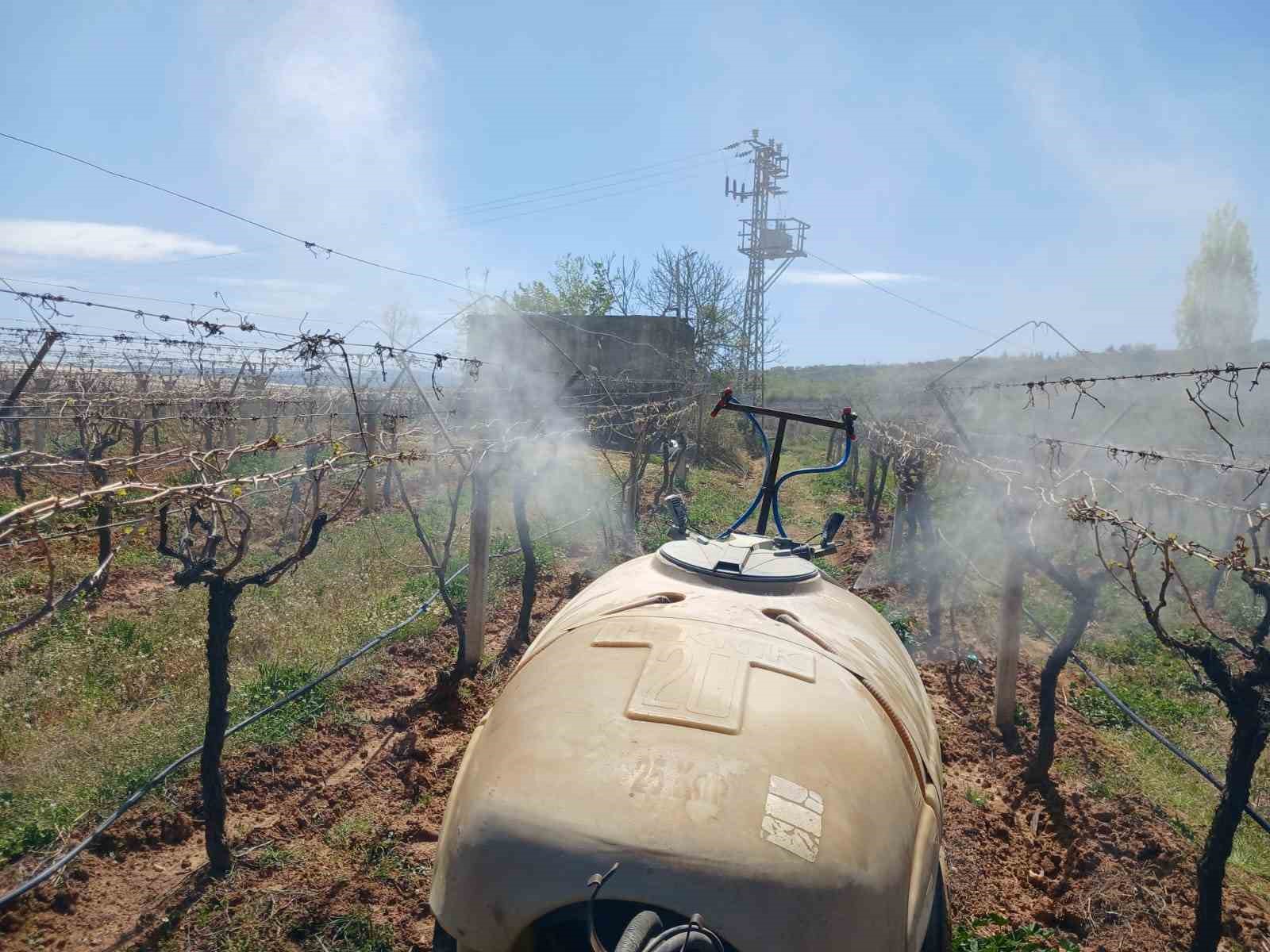 Manisa'da Zirai Don Çalışmaya Engel Değil