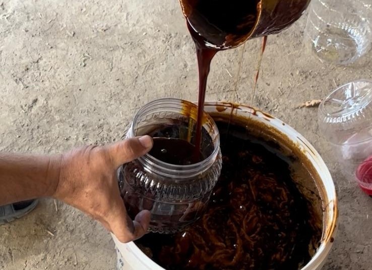 Sarıgöl Tarım Müdürü Ahmet Akar’dan Geneleksel Doğal Dut Pekmezi Üretimi