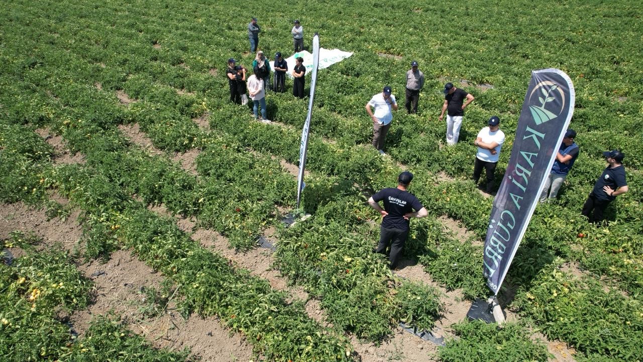 Manisa Tarımında Yeni Dönem:"Rekolte yüzde 30-40 arasında arttı"