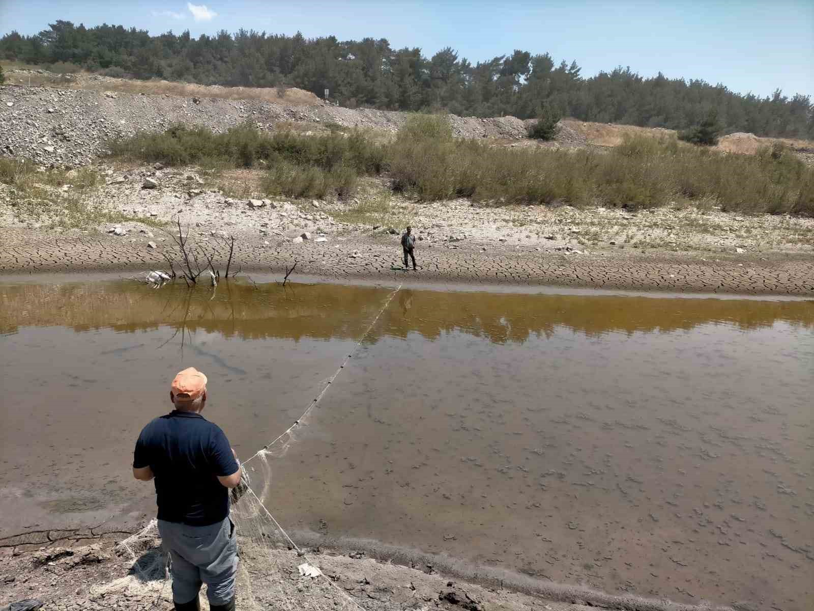 Soma’da Kuruyan Gölette Balıklar Kurtarıldı