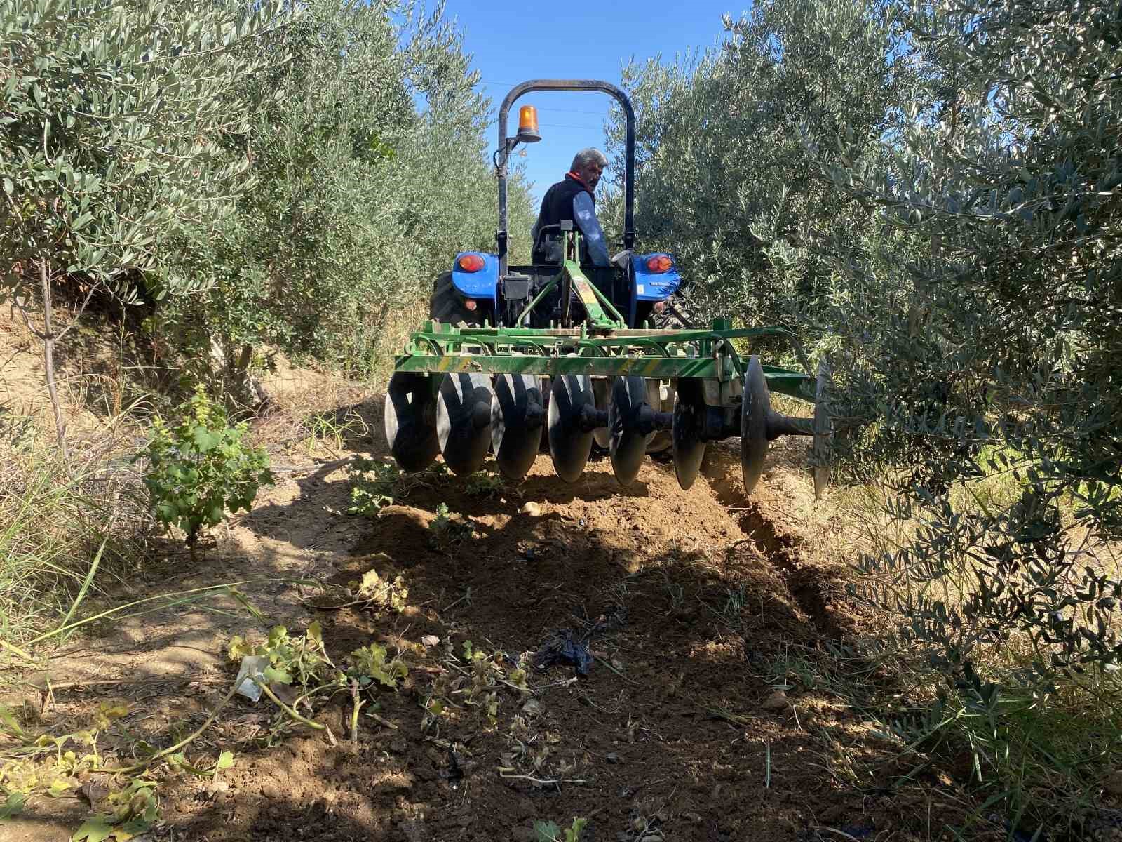 Alaşehir’de Yağışlar Tarıma Can Suyu Oldu