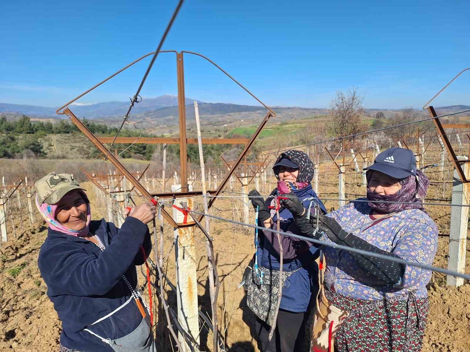 Sarıgöllü Kadınlar 8 Mart'ı Bağlarda Karşıladı