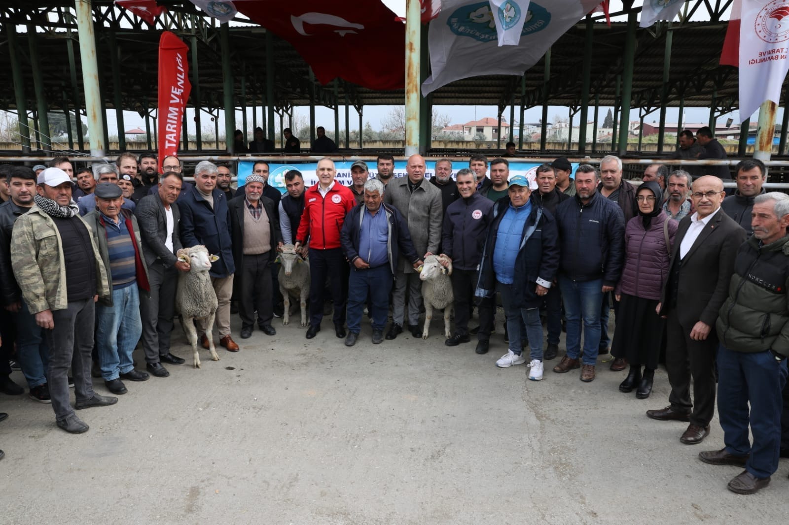 Manisa'da damızlık koç dağıtımları yapıldı