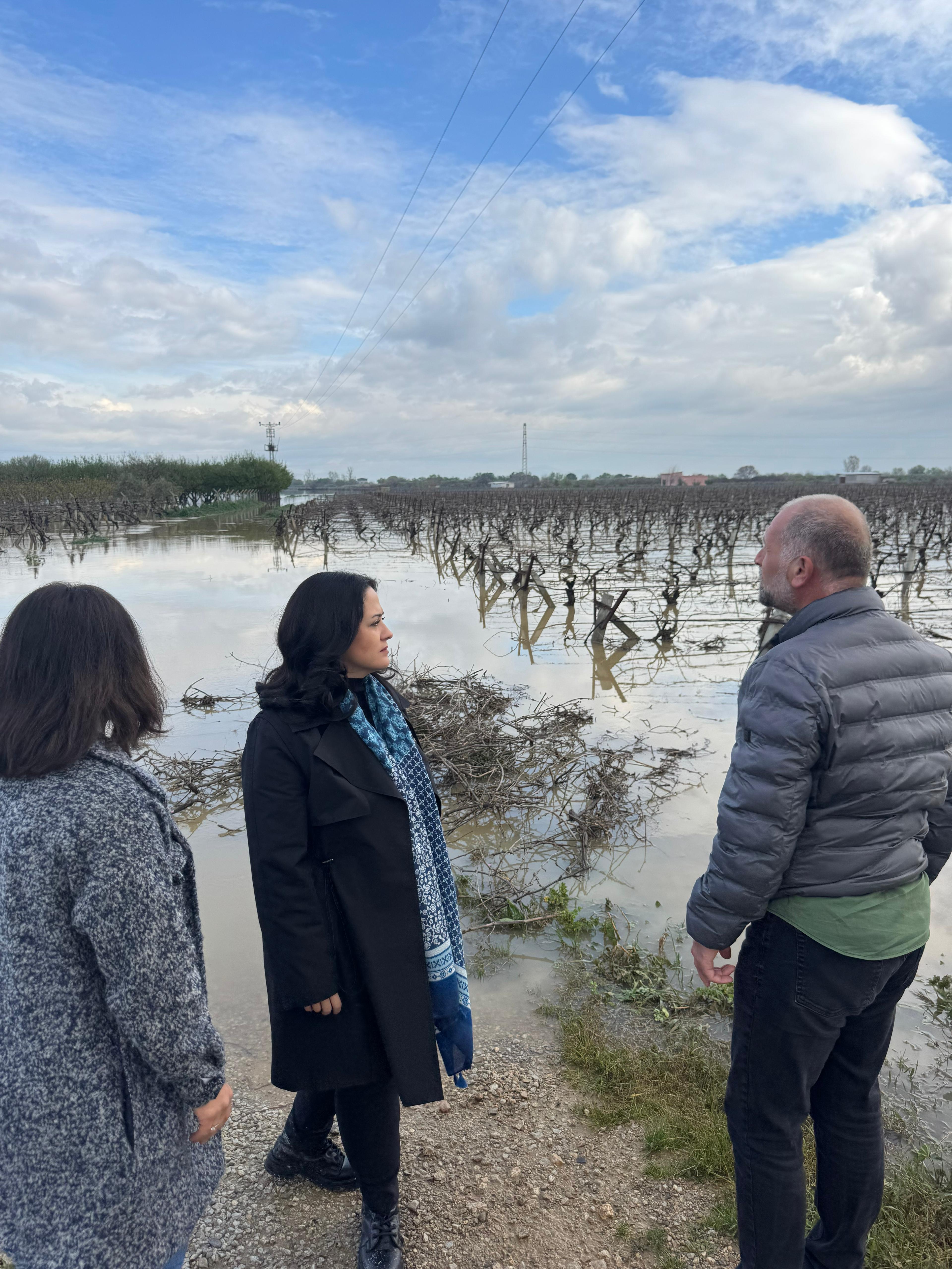 Yeniharmandalı Ovası Sular Altında: Aytaç’tan Yetkililere Acil Çağrı
