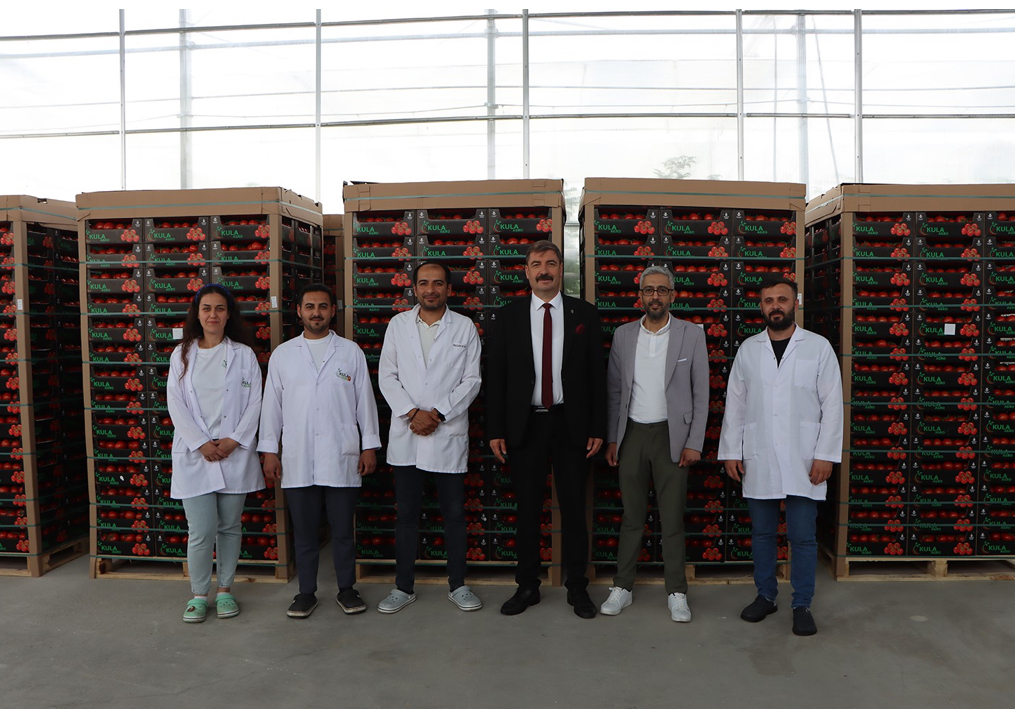 Kula’dan Avrupa’ya 500 ton domates! Kula’dan Avrupa’ya 500 ton domates!