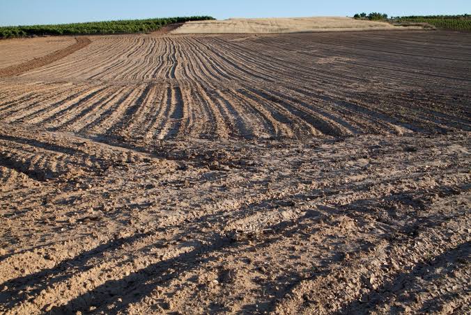NADASA BIRAKILAN TARIM ARAZİLERİ ÜRETİME KAZANDIRILACAK