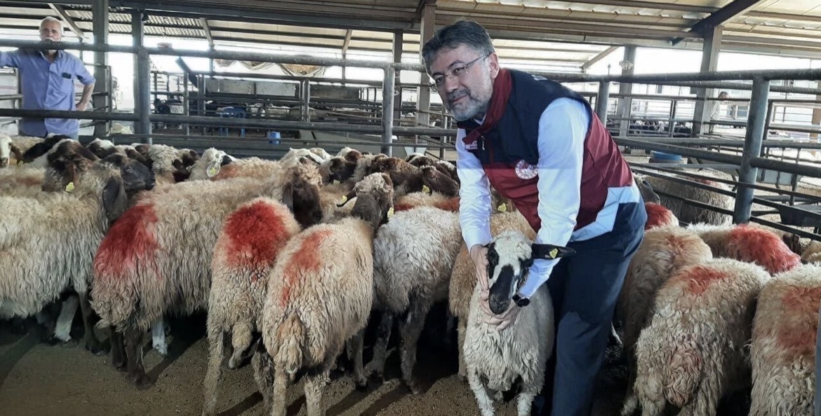 100 Küçükbaş ve Maaş Desteğiyle Kırsalda Yeni Dönem Başlıyor!