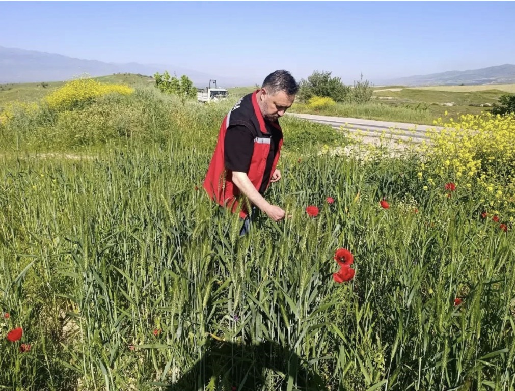 Sarıgöl’de huhubatta verim için ekipler sahada