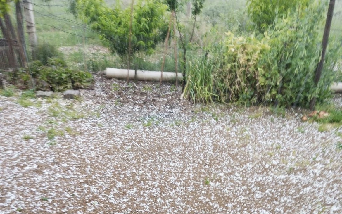 Sarıgöl’de bağlar dolu yağışıyla beyaza büründü