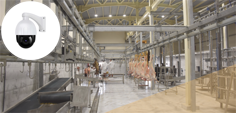 Kesimhanelere Kamera Zorunluluğu!