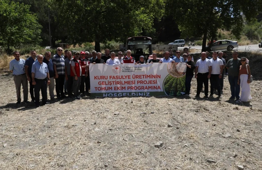 Manisa’da Kuru Fasulye Üretimi 127 Dekarlık Alanda Başladı Manisa’da Kuru Fasulye Üretimi 127 Dekarlık Alanda Başladı